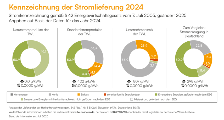 Energietraegermix2024_TWL_0825
