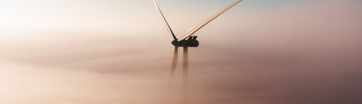 sander-weeteling-iGDg_f_mlWo-unsplash