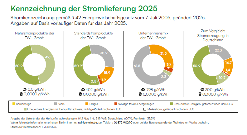 Energietraegermix2024_TWL_0825